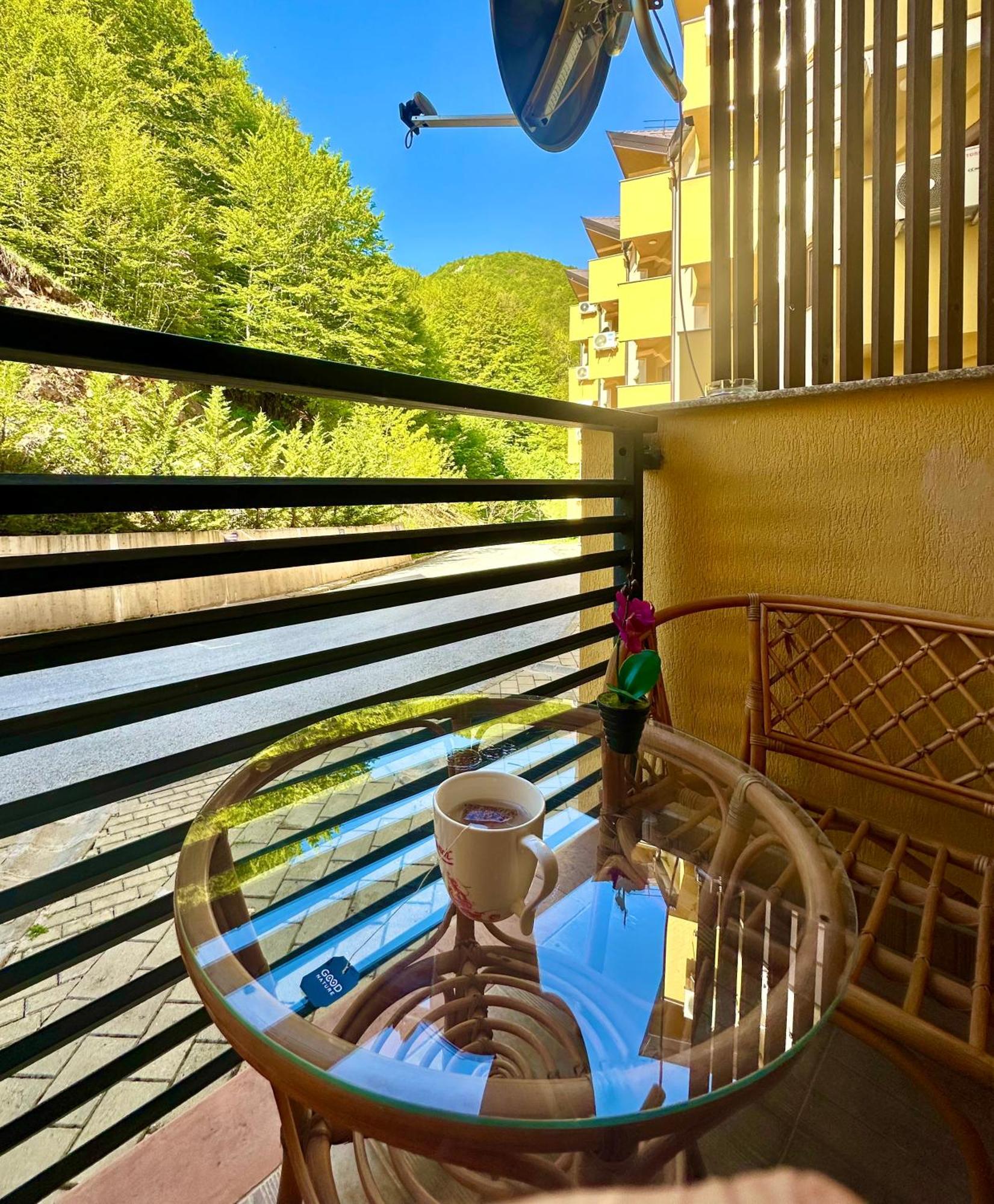 Forest View Apartment Mavrovo Buitenkant foto
