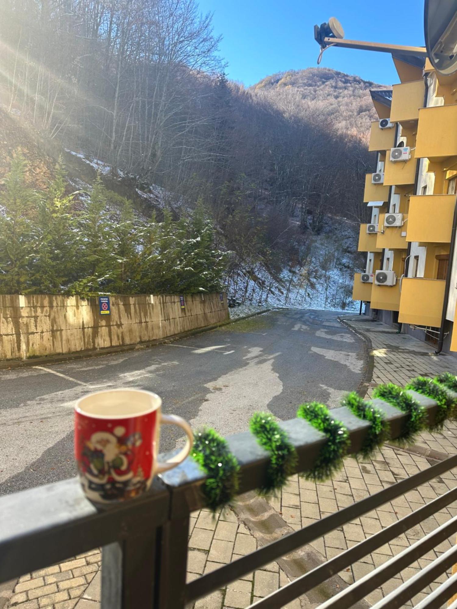 Forest View Apartment Mavrovo Buitenkant foto
