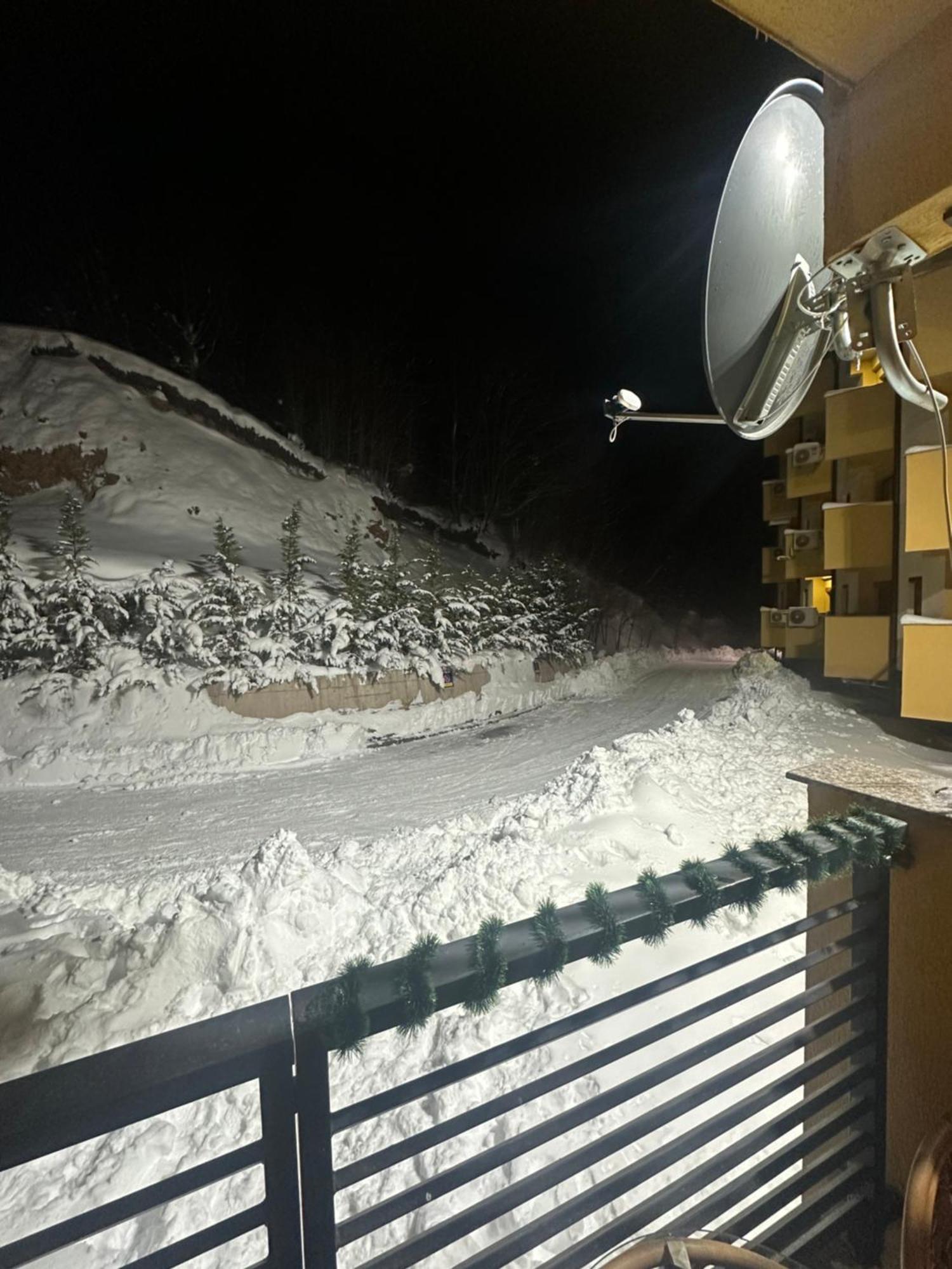 Forest View Apartment Mavrovo Buitenkant foto